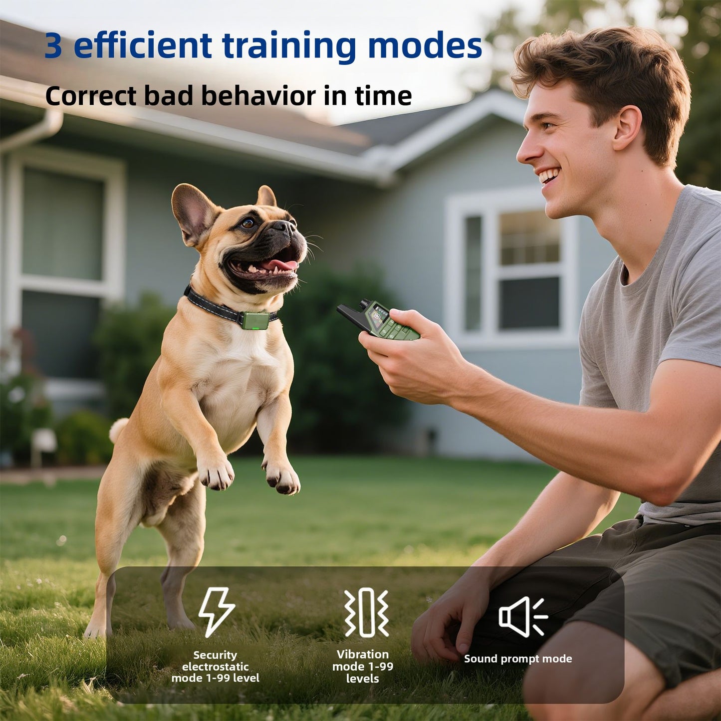 Remote Training Dog Collar